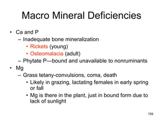 Macro Mineral Deficiencies
• Ca and P
– Inadequate bone mineralization
• Rickets (young)
• Osteomalacia (adult)
– Phytate P—bound and unavailable to nonruminants
• Mg
– Grass tetany-convulsions, coma, death
• Likely in grazing, lactating females in early spring
or fall
• Mg is there in the plant, just in bound form due to
lack of sunlight
159
 