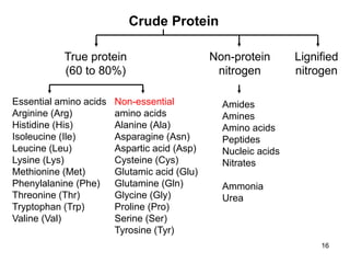 Crude Protein
Non-protein
nitrogen
True protein
(60 to 80%)
Essential amino acids
Arginine (Arg)
Histidine (His)
Isoleucine (Ile)
Leucine (Leu)
Lysine (Lys)
Methionine (Met)
Phenylalanine (Phe)
Threonine (Thr)
Tryptophan (Trp)
Valine (Val)
Non-essential
amino acids
Alanine (Ala)
Asparagine (Asn)
Aspartic acid (Asp)
Cysteine (Cys)
Glutamic acid (Glu)
Glutamine (Gln)
Glycine (Gly)
Proline (Pro)
Serine (Ser)
Tyrosine (Tyr)
Amides
Amines
Amino acids
Peptides
Nucleic acids
Nitrates
Ammonia
Urea
Lignified
nitrogen
16
 