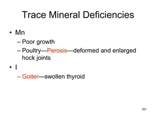 Trace Mineral Deficiencies
• Mn
– Poor growth
– Poultry—Perosis—deformed and enlarged
hock joints
• I
– Goiter—swollen thyroid
161
 