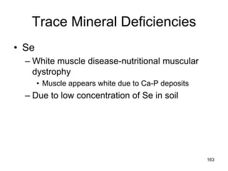 Trace Mineral Deficiencies
• Se
– White muscle disease-nutritional muscular
dystrophy
• Muscle appears white due to Ca-P deposits
– Due to low concentration of Se in soil
163
 