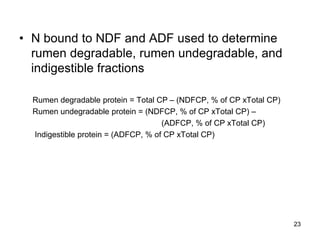 • N bound to NDF and ADF used to determine
rumen degradable, rumen undegradable, and
indigestible fractions
Rumen degradable protein = Total CP – (NDFCP, % of CP xTotal CP)
Rumen undegradable protein = (NDFCP, % of CP xTotal CP) –
(ADFCP, % of CP xTotal CP)
Indigestible protein = (ADFCP, % of CP xTotal CP)
23
 