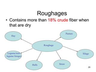 Roughages
• Contains more than 18% crude fiber when
that are dry
Hulls Straw
Silage
Roughage
Hay
Legume/non-
legume forages
Pasture
29
 