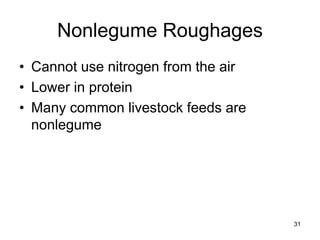 Nonlegume Roughages
• Cannot use nitrogen from the air
• Lower in protein
• Many common livestock feeds are
nonlegume
31
 