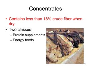 Concentrates
• Contains less than 18% crude fiber when
dry
• Two classes
– Protein supplements
– Energy feeds
32
 