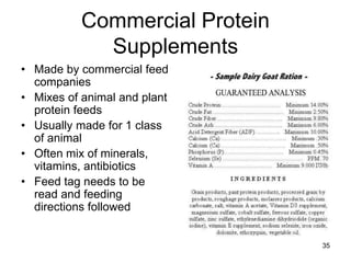 Commercial Protein
Supplements
• Made by commercial feed
companies
• Mixes of animal and plant
protein feeds
• Usually made for 1 class
of animal
• Often mix of minerals,
vitamins, antibiotics
• Feed tag needs to be
read and feeding
directions followed
35
 