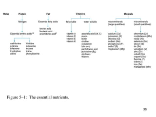 Figure 5–1: The essential nutrients.
38
 
