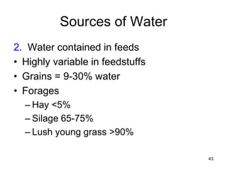 Sources of Water
2. Water contained in feeds
• Highly variable in feedstuffs
• Grains = 9-30% water
• Forages
– Hay <5%
– Silage 65-75%
– Lush young grass >90%
43
 