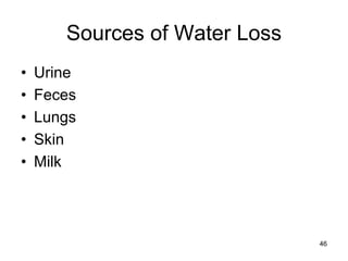 Sources of Water Loss
• Urine
• Feces
• Lungs
• Skin
• Milk
46
 