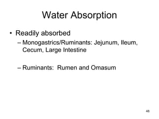 Water Absorption
• Readily absorbed
– Monogastrics/Ruminants: Jejunum, Ileum,
Cecum, Large Intestine
– Ruminants: Rumen and Omasum
48
 