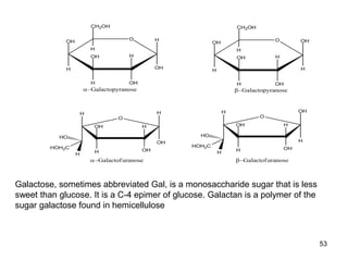 53
Galactose, sometimes abbreviated Gal, is a monosaccharide sugar that is less
sweet than glucose. It is a C-4 epimer of glucose. Galactan is a polymer of the
sugar galactose found in hemicellulose
 