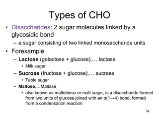 Types of CHO
• Disaccharides: 2 sugar molecules linked by a
glycosidic bond
– a sugar consisting of two linked monosaccharide units
• Forexample
– Lactose (galactose + glucose),… lactase
• Milk sugar
– Sucrose (fructose + glucose),… sucrase
• Table sugar
– Maltose,…Maltase
• also known as maltobiose or malt sugar, is a disaccharide formed
from two units of glucose joined with an α(1→4) bond, formed
from a condensation reaction
54
 