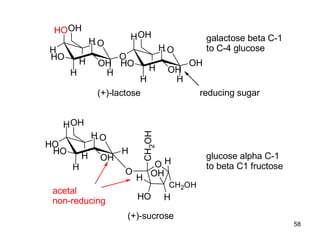 O
H
HO
H
HO
H
OH
H
H
OH
glucose alpha C-1
to beta C1 fructose
O
HO
H
H
HO
H
H
OH
H
OH
O
H
O
H
HO
H
H
OH
H
OH
OH galactose beta C-1
to C-4 glucose
reducing sugar
(+)-lactose
O
O
CH
2
OH
CH2OH
H
H
OH
HO
H
(+)-sucrose
acetal
non-reducing
58
 