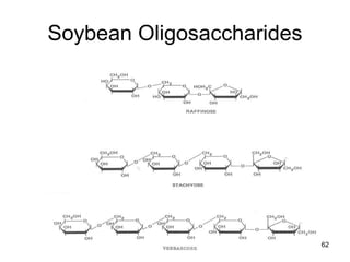 Soybean Oligosaccharides
62
 
