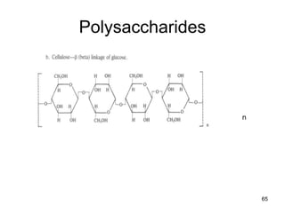 Polysaccharides
n
65
 