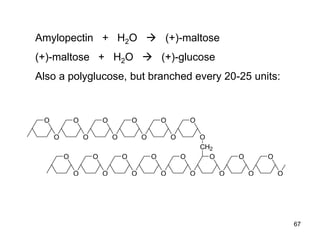 O
O
O
O
O
O
O
O
O
O
O
O
O
O
O
O
O
O
O
O
O
O
O
O
O
O
O
CH2
O
Amylopectin + H2O  (+)-maltose
(+)-maltose + H2O  (+)-glucose
Also a polyglucose, but branched every 20-25 units:
67
 