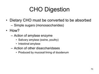 CHO Digestion
• Dietary CHO must be converted to be absorbed
– Simple sugars (monosaccharides)
• How?
– Action of amylase enzyme
• Salivary amylase (swine, poultry)
• Intestinal amylase
– Action of other disaccharidases
• Produced by mucosal lining of duodenum
73
 