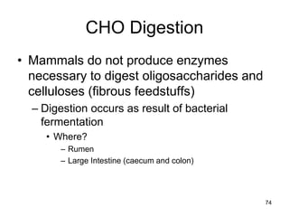 CHO Digestion
• Mammals do not produce enzymes
necessary to digest oligosaccharides and
celluloses (fibrous feedstuffs)
– Digestion occurs as result of bacterial
fermentation
• Where?
– Rumen
– Large Intestine (caecum and colon)
74
 