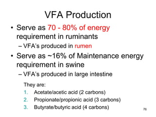 VFA Production
• Serve as 70 - 80% of energy
requirement in ruminants
– VFA’s produced in rumen
• Serve as ~16% of Maintenance energy
requirement in swine
– VFA’s produced in large intestine
They are:
1. Acetate/acetic acid (2 carbons)
2. Propionate/propionic acid (3 carbons)
3. Butyrate/butyric acid (4 carbons) 76
 