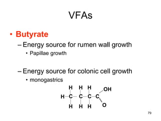 VFAs
• Butyrate
– Energy source for rumen wall growth
• Papillae growth
– Energy source for colonic cell growth
• monogastrics
C
H
H
H
C
O
C
H
H
C
H
H OH
79
 