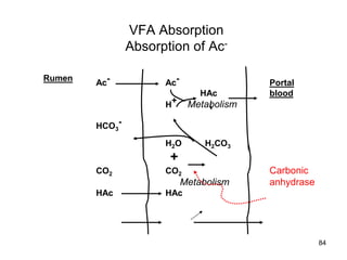 VFA Absorption
Absorption of Ac-
Ac- Ac- Portal
HAc blood
H+ Metabolism
HCO3
-
H2O H2CO3
+
CO2 CO2 Carbonic
Metabolism anhydrase
HAc HAc
Rumen
84
 