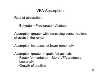 VFA Absorption
Rate of absorption:
Butyrate > Propionate > Acetate
Absorption greater with increasing concentrations
of acids in the rumen
Absorption increases at lower rumen pH
Absorption greater in grain fed animals
Faster fermentation – More VFA produced
Lower pH
Growth of papillae
85
 