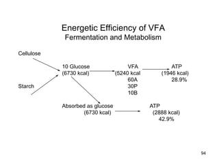 Energetic Efficiency of VFA
Fermentation and Metabolism
Cellulose
10 Glucose VFA ATP
(6730 kcal) (5240 kcal (1946 kcal)
60A 28.9%
Starch 30P
10B
Absorbed as glucose ATP
(6730 kcal) (2888 kcal)
42.9%
94
 