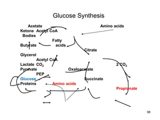 Glucose Synthesis
Acetate Amino acids
Ketone Acetyl CoA
Bodies
Fatty
Butyrate acids
Citrate
Glycerol
Acetyl CoA
Lactate CO2 2 CO2
Pyruvate Oxaloacetate
PEP
Glucose Succinate
Proteins Amino acids
Propionate
98
 