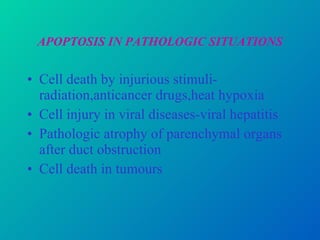 APOPTOSIS IN PATHOLOGIC SITUATIONS Cell death by injurious stimuli-radiation,anticancer drugs,heat hypoxia Cell injury in viral diseases-viral hepatitis Pathologic atrophy of parenchymal organs after duct obstruction Cell death in tumours 