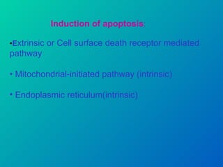 Induction of apoptosis : • E xtrinsic or Cell surface death receptor mediated pathway  •  Mitochondrial-initiated pathway (intrinsic) Endoplasmic reticulum(intrinsic) 