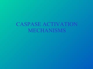 CASPASE ACTIVATION MECHANISMS 