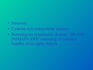 Structure: Cysteine rich extracellular domain Homologous cytoplasmic domain “DEATH DOMAIN (DD)”consisting of compact bundles of six alpha helices 