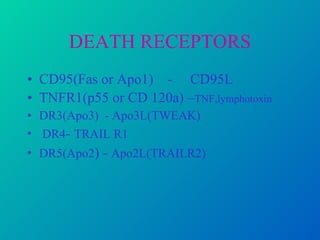 DEATH RECEPTORS CD95(Fas or Apo1)  -  CD95L TNFR1(p55 or CD 120a) – TNF,lymphotoxin DR3(Apo3)  - Apo3L(TWEAK) DR4 -  TRAIL R1 DR5(Apo2 ) -  Apo2L(TRAILR2)   