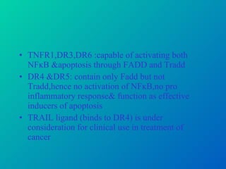 TNFR1,DR3,DR6 :capable of activating both NFĸB &apoptosis through FADD and Tradd DR4 &DR5: contain only Fadd but not Tradd,hence no activation of NFĸB,no pro inflammatory response& function as effective inducers of apoptosis TRAIL ligand (binds to DR4) is under consideration for clinical use in treatment of cancer  