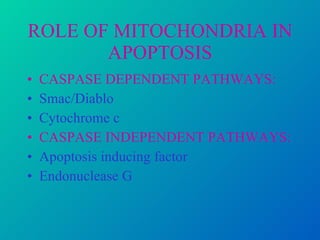 ROLE OF MITOCHONDRIA IN APOPTOSIS CASPASE DEPENDENT PATHWAYS: Smac/Diablo Cytochrome   c  CASPASE INDEPENDENT PATHWAYS: Apoptosis inducing factor Endonuclease G 