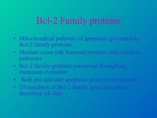 Bcl-2 Family proteins Mitochondrial pathway of apoptosis governed by Bcl-2 family proteins Mediate cross talk between intrinsic and extrinsic pathways Bcl-2 family proteins conserved throughout metazoan evolution Both pro and anti apoptotic proteins are present 20 members of Bcl-2 family gene have been described till date 