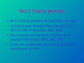 Bcl-2 Family proteins Bcl-2 Family proteins divided into 2 groups α helical pore/channel like proteins(Bcl-2, Bcl-XL,Mcl-1,Boo,Bax, Bak, Bid) Have conserved stretches of amino acid sequence homology-BH1,BH2,BH3 Form ion conducting channels in synthetic membranes in vitro  