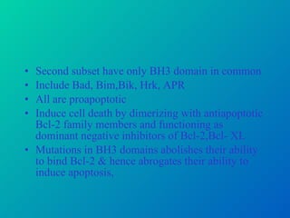 Second subset have only BH3 domain in common Include Bad, Bim,Bik, Hrk, APR All are proapoptotic Induce cell death by dimerizing with antiapoptotic Bcl-2 family members and functioning as dominant negative inhibitors of Bcl-2,Bcl- XL Mutations in BH3 domains abolishes their ability to bind Bcl-2 & hence abrogates their ability to induce apoptosis,  