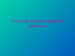 Cross talk between apoptotic pathways 