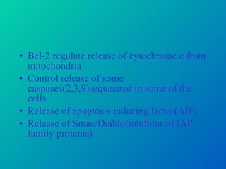 Bcl-2 regulate release of cytochrome c from mitochondria Control release of some caspases(2,3,9)sequestred in some of the cells Release of apoptosis inducing factor(AIF) Release of Smac/Diablo(inhibitor of IAP family proteins) 