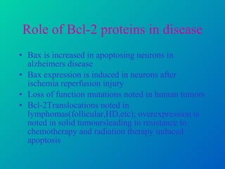 Role of Bcl-2 proteins in disease Bax is increased in apoptosing neurons in alzheimers disease Bax expression is induced in neurons after ischemia reperfusion injury Loss of function mutations noted in human tumors Bcl-2Translocations noted in lymphomas(follicular,HD,etc); overexpression is noted in solid tumoursleading to resistance to chemotherapy and radiation therapy induced apoptosis  