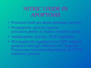 NITRIC OXIDE IN APOPTOSIS Possesses both pro &anti apoptotic activity Proapoptotic activity:caspase activation,ability to induce oxidative stress Antiapoptotic activity: FLIP regulation NO negatively regulates Fas CD95 induced apoptosis through inhibition of Ubiquitin Proteasome mediated degradation of FLICE inhibitory protein  