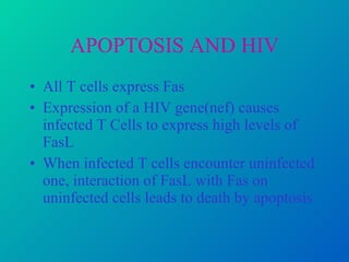 APOPTOSIS AND HIV All T cells express Fas Expression of a HIV gene(nef) causes infected T Cells to express high levels of FasL When infected T cells encounter uninfected one, interaction of FasL with Fas on uninfected cells leads to death by apoptosis  
