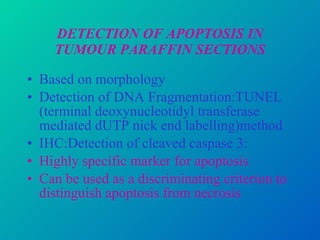 DETECTION OF APOPTOSIS IN TUMOUR PARAFFIN SECTIONS Based on morphology Detection of DNA Fragmentation:TUNEL (terminal deoxynucleotidyl transferase mediated dUTP nick end labelling)method IHC:Detection of cleaved caspase 3: Highly specific marker for apoptosis Can be used as a discriminating criterion to distinguish apoptosis from necrosis 
