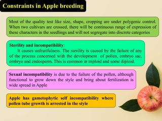 Apple Incompatibility Advances in Apple Breeding (Sanjay Chetry).pptx