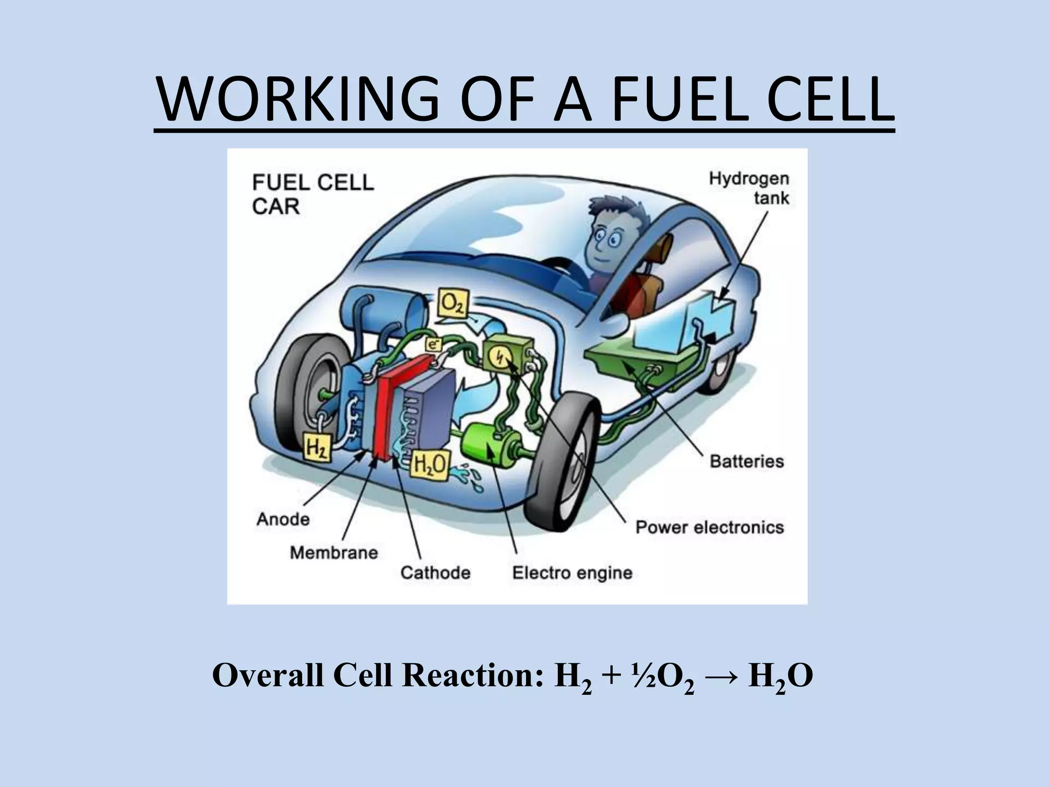 WORKING OF A FUEL CELL
Overall Cell Reaction: H2 + ½O2 → H2O