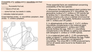 Advances in breeding of grapes | PPTX