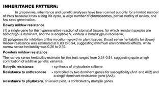 Advances in breeding of grapes | PPTX