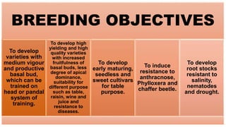 Advances in breeding of grapes | PPTX