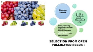 Advances in breeding of grapes | PPTX