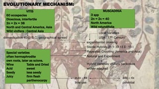 Advances in breeding of grapes | PPTX